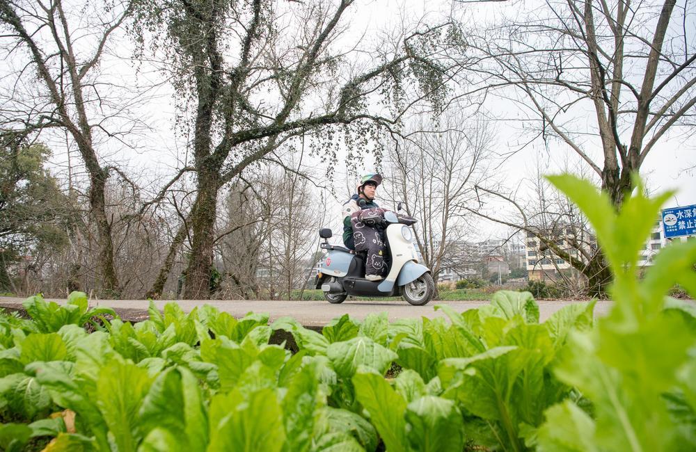 姜婷用电动车载着新学期的课本行驶在山路上。